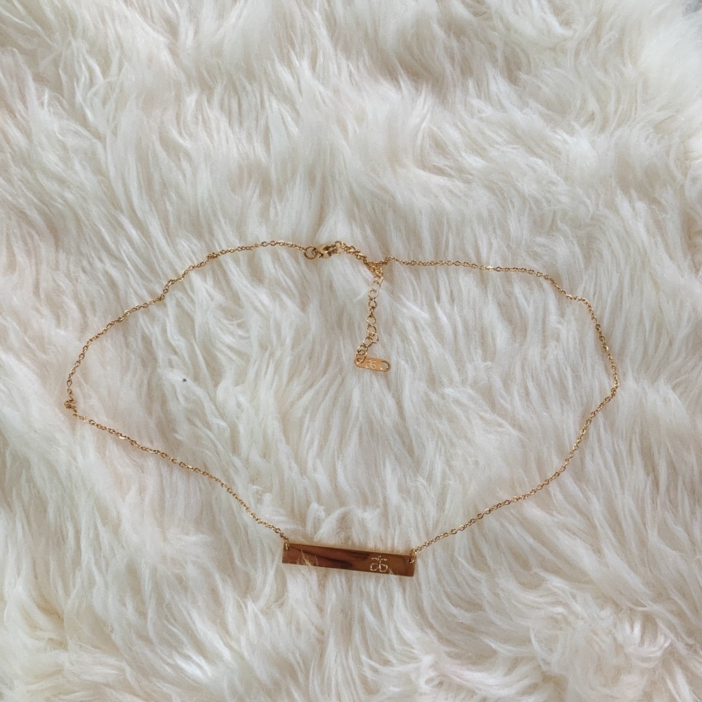Arbonne bar necklace